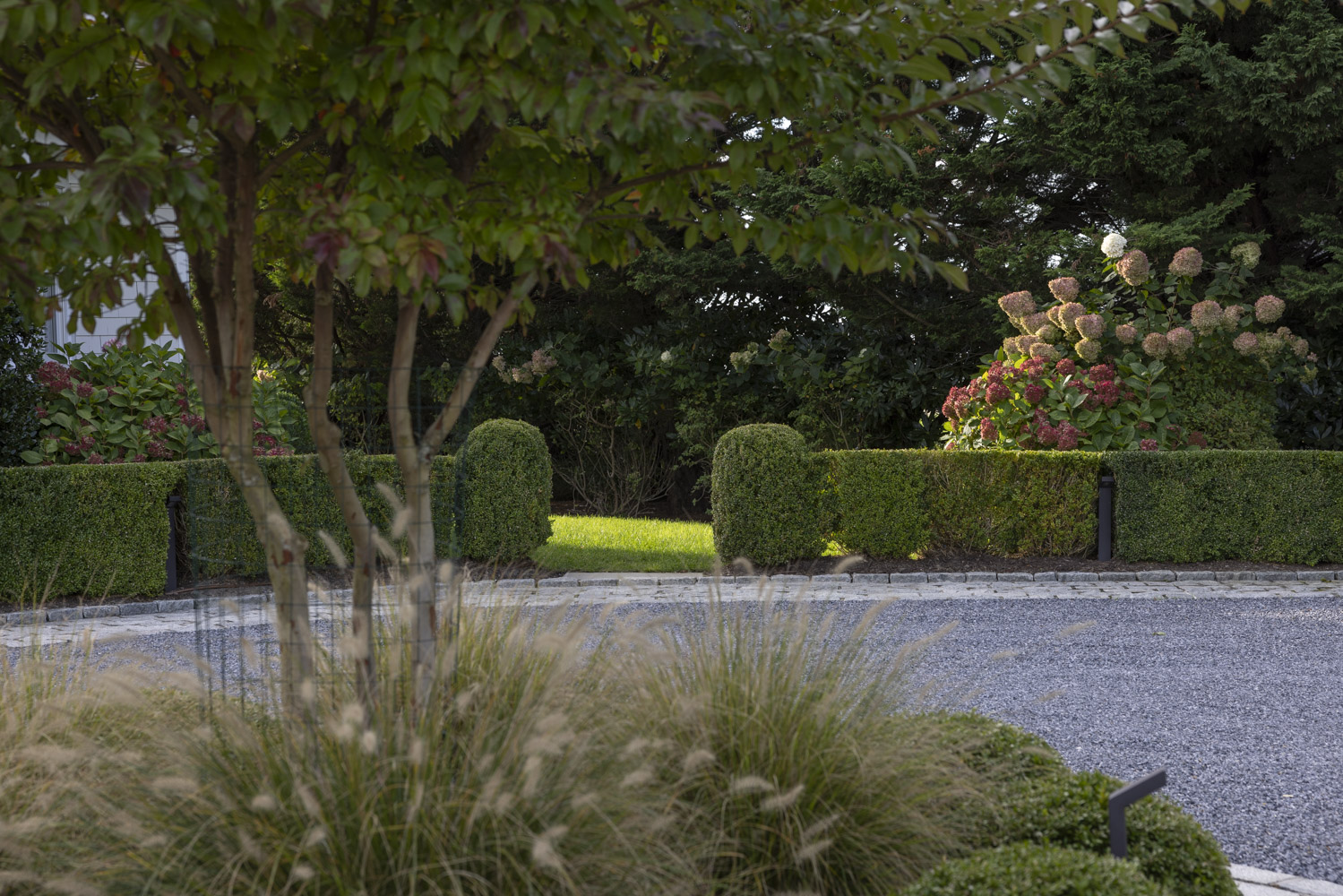 Alex Developers project photo