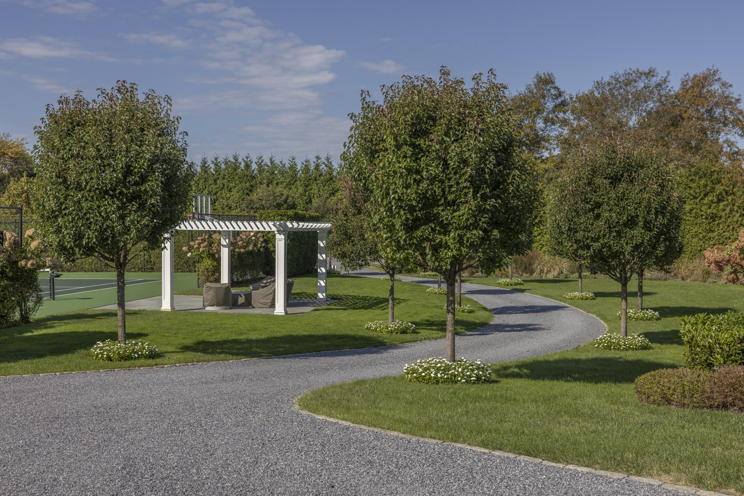 Alex Developers project photo